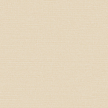 Alessandro Allori Bruni 1003-6 RBN Alessandro Allori Bruni 1003-6 RBN