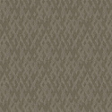 Z57755