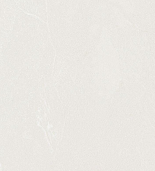 Обои для столовой Bernardo Bartalucci Gaga  84284-1