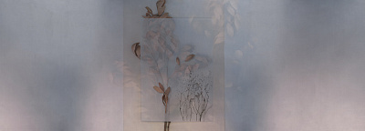 Фотообои EVIGILATIO 1, SIESTA, Factura