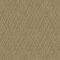 Z57762