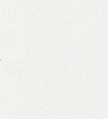 Обои для столовой Bernardo Bartalucci Gaga  84284-4