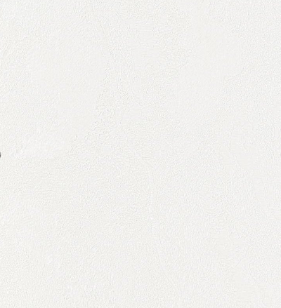 Обои 84284-4, Gaga, Bernardo Bartalucci